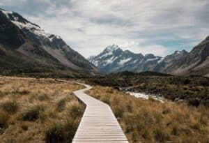 landschaft weg pexels lastly 808465